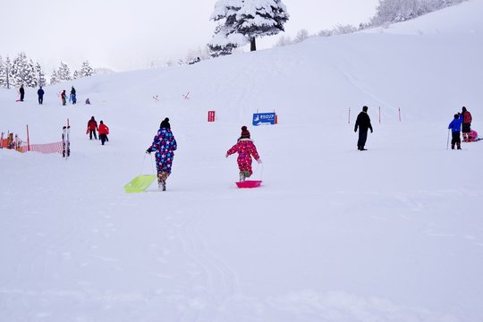 雪山でそり遊びをする子供たち
