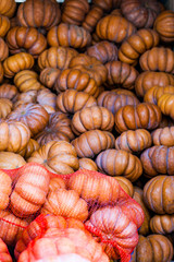 Autumn pumpkins for sale