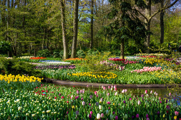Obrazy  Wiosenny Ogród Formalny. Piękny ogród kolorowych kwiatów