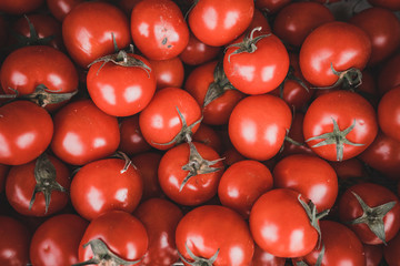 red tomatoes background. Group of tomatoes