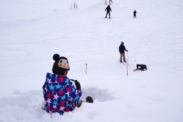 Fototapeta na wymiar 日本のスキー場