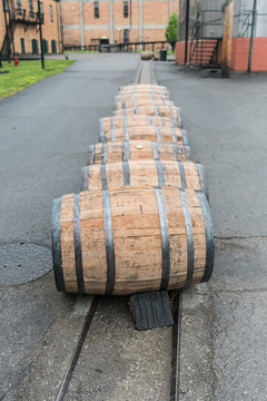 Line of Bourbon Barrels in the Rain