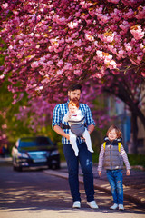 Obraz premium happy father with kids on the walk in spring city, baby carrier, paternal leave