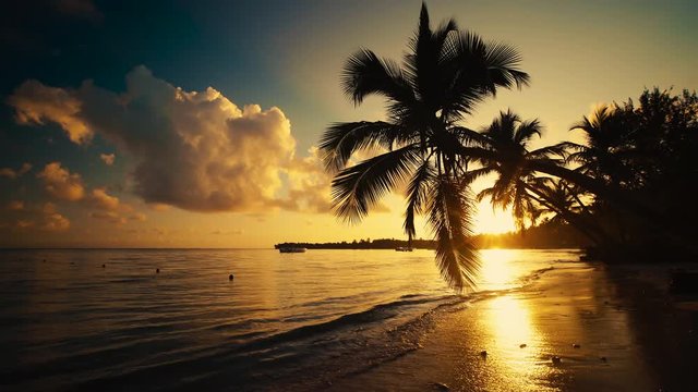 Sunrise sea view and tropical island beach in Punta Cana resort, Dominican Republic