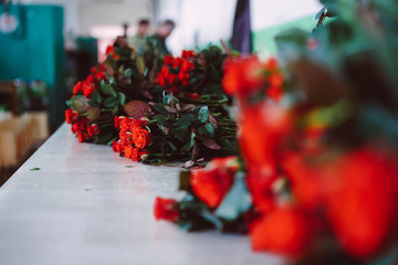 fresh cut red roses lie on the table