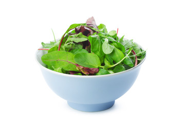 Greenery close up isolated on white background