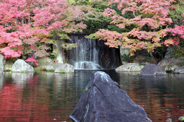Waterfall from the autumn garden with red leaves and the rock in the water. .Colorful of leaves on the garden in autumn season with movement waterfall wildlife.