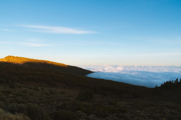 Naklejka na ściany i meble Forest above cloud inversion in desert landscape while sunrise