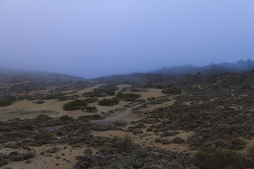 Desert landscape covered in morning fog at dawn