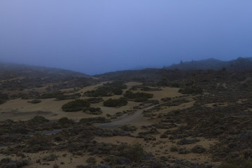 Desert landscape covered in morning fog at dawn