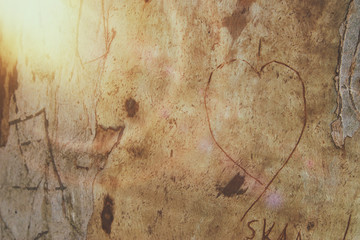Photo of old tree trunk with heart carved on it. Valentine's day concept. Romantic background.