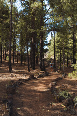 Girl walking in dark volcanic landscape with green trees