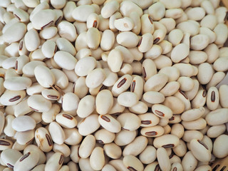 White beans are combined in the tray.  