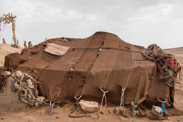 nomad tents in the desert