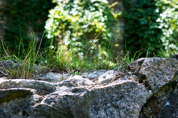 A large stone with grass on it on a sunny day