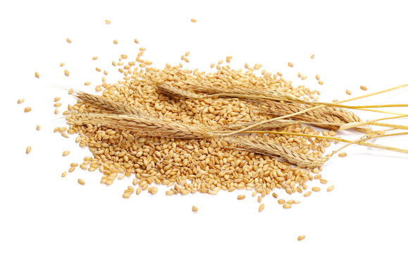 Ears of wheat and seeds isolated on white background