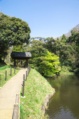Fototapeta premium 公園の新緑と青空
