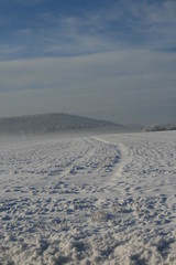 Fototapeta na wymiar Winter auf der Schwäbischen Alb