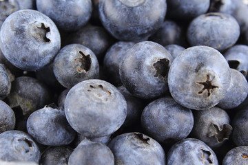 fresh blueberry fruits closeup food background texture