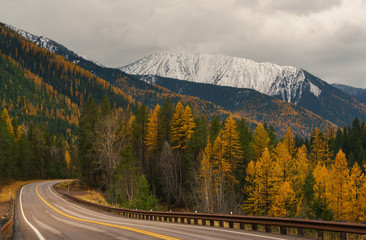 Autumn in Montana
