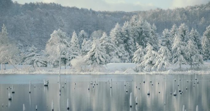 初雪の湖