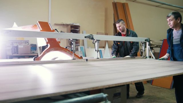 Carpenters are cutting wood on electric saw at furniture factory
