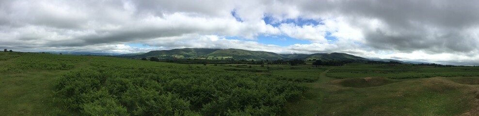 Naklejka premium clone tag: -3078179525477955541