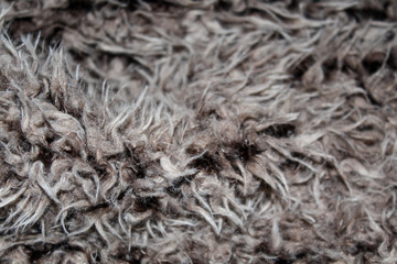 natural fur closeup with reflected light