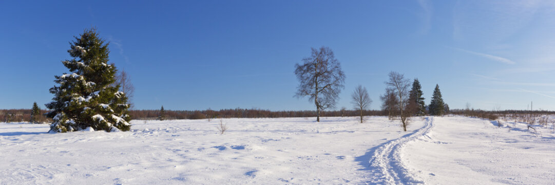 Hautes Fagnes in Belgium in winter on a clear day