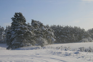 Winter