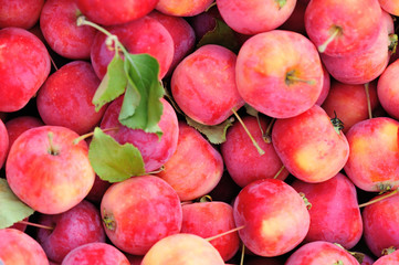 closeup of ripe fresh red crabapples as a background