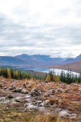 Fototapeta premium Scenic Landscape View of Mountain, Forest and Lake in Scottish Highlands.