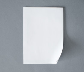 Blank white paper on the gray background