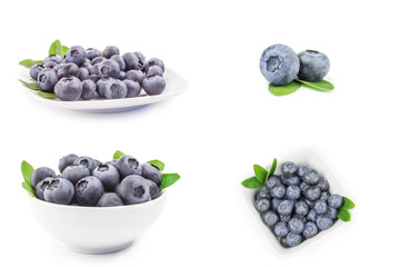 Collage of bilberry