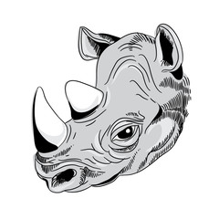 Obraz premium Rhino's head. Vector illustration on white background