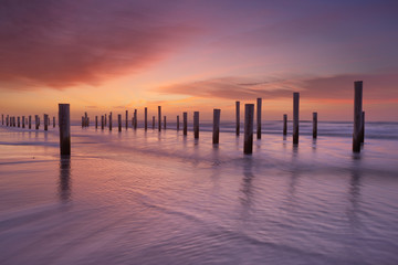 Wooden poles on the beach at sunset