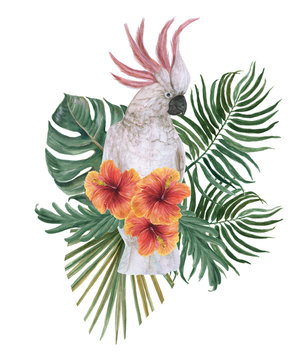 Watercolor painting parrot with tropical floral composition