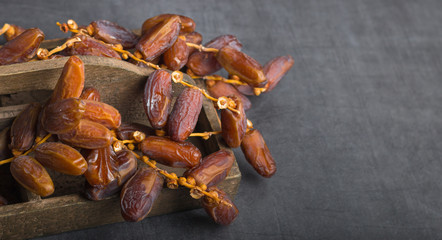 dried dates on a grey background