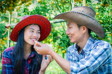 Portrait of happy farmer couple eating oranges in an orange tree field