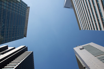 Skyscrapers in Shinjuku reaching for the sky