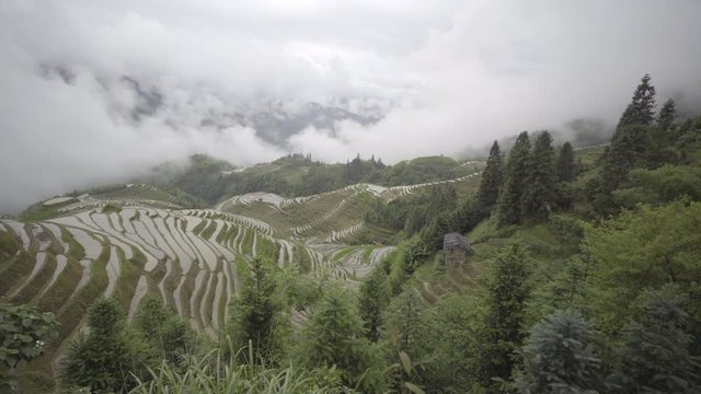 Ping an rice terraces along mountainside