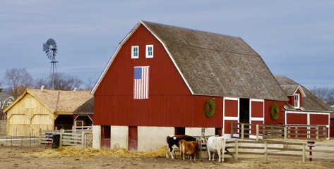Red barn with windmill  © Jose
