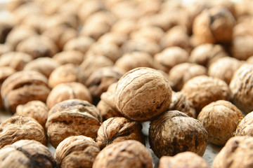 Many fresh walnuts together, close-up