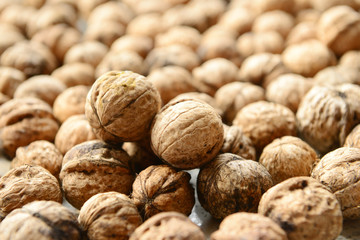 Many fresh walnuts together, close-up