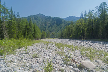 Dry stony river bed.