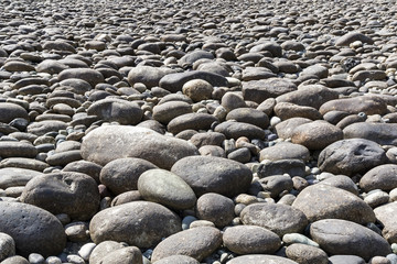 Large gray pebble on the river bank.