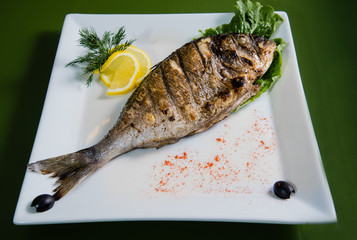 Sea bream, Dorado, on a white plate