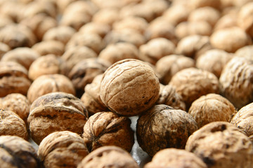 Many fresh walnuts together, close-up