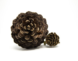 A beautiful closeup of a pine cone on white background. Winter theme.