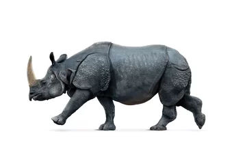 Papier Peint photo Lavable Rhinocéros rhinocéros isolé sur blanc